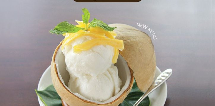 coconut-ice-cream-2