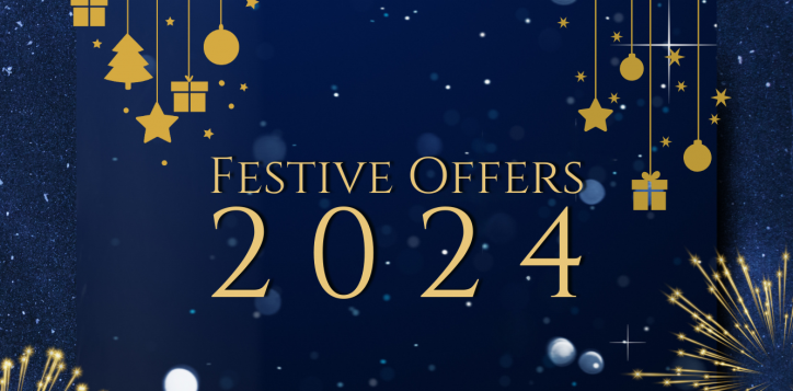 festive-offers-2-2